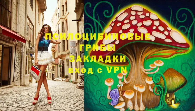 omg ТОР  хочу   Киров  Псилоцибиновые грибы MAGIC MUSHROOMS 